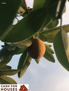 bank walk away from foreclosure