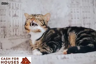 bad neighbors what to do legally