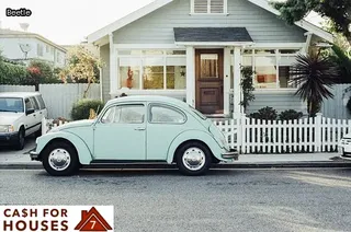 bedroom little black bugs