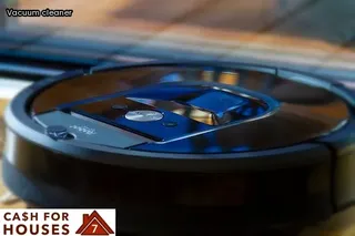 what are tiny black bugs in bed