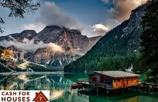 little black bugs on bed