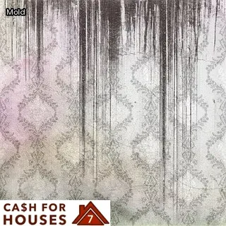 home mold remediation