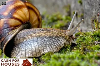 Foundation (engineering)